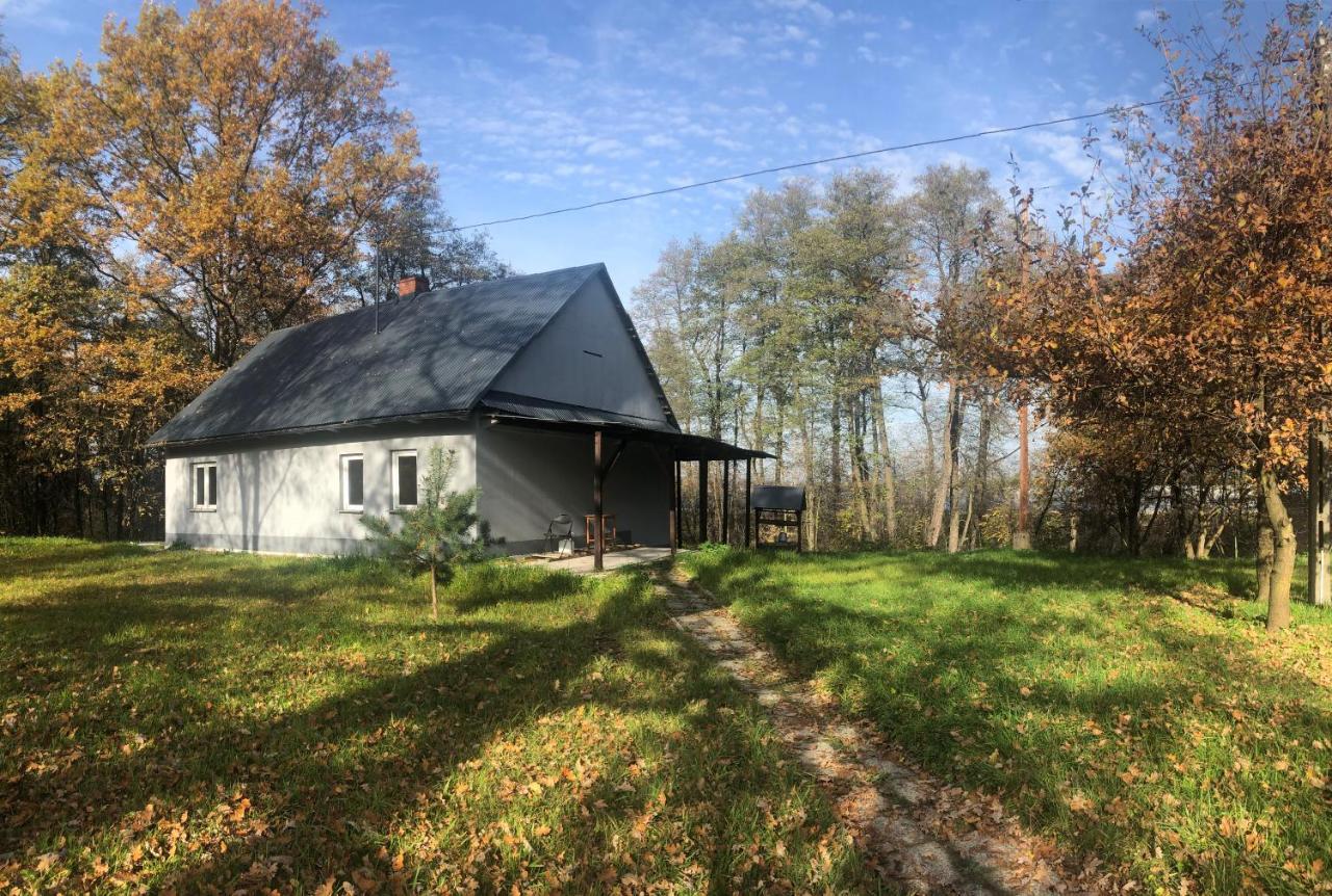 Caly Dom, Parking, Grill, Zadaszony Taras Na Imprezy Lub Wakacje - Tylko Dla Ciebie Villa Zakrzow  Exterior photo